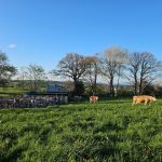 La Ferme d'Ambert - Montpeyrou021