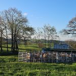 La Ferme d'Ambert - Montpeyrou023