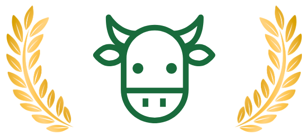 vache - site La Ferme d'Ambert (3)